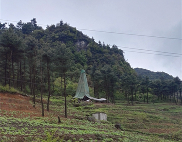 把脈“黔”鋅地，問(wèn)診開(kāi)良方