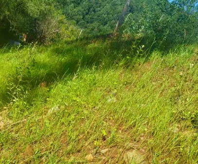 柳關欒盧鉛鋅礦|治理排土“瘡疤”，繪就綠色畫卷